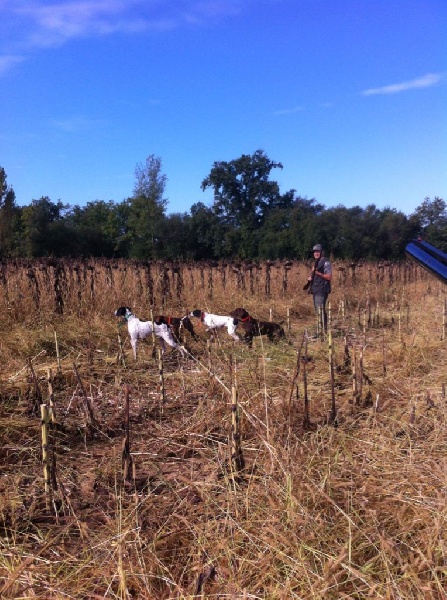 chasse